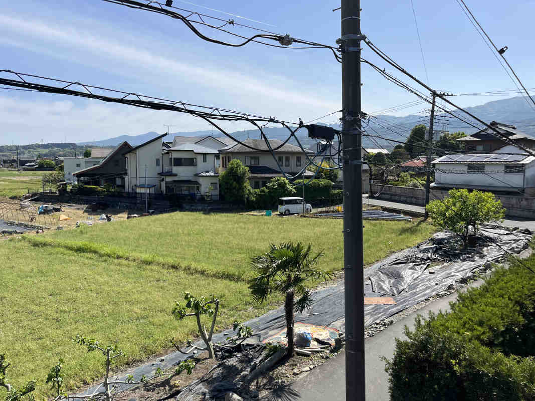 2025年5月撮影