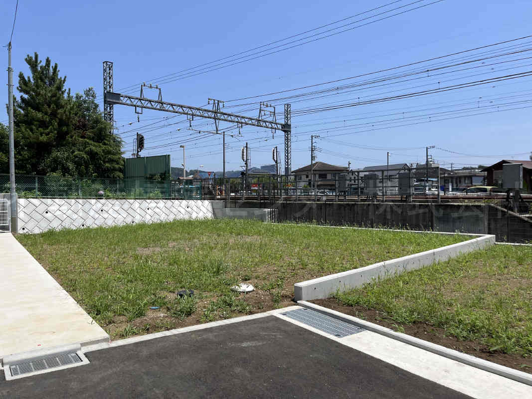 2023年7月撮影