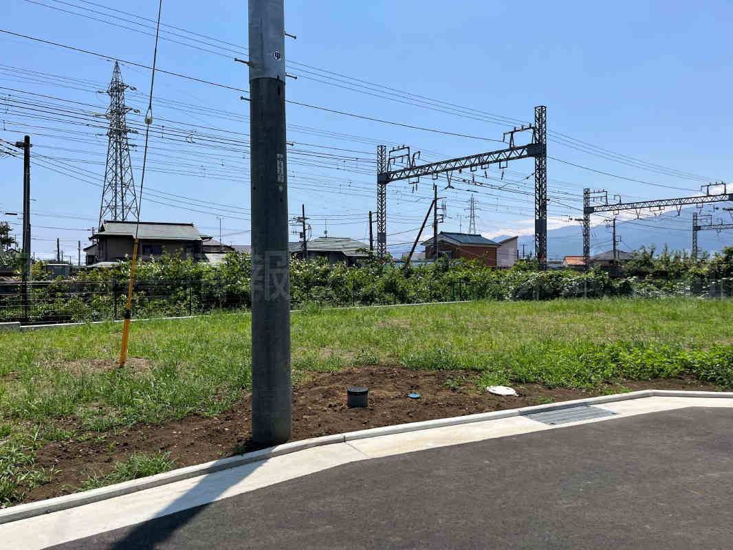 2023年7月撮影