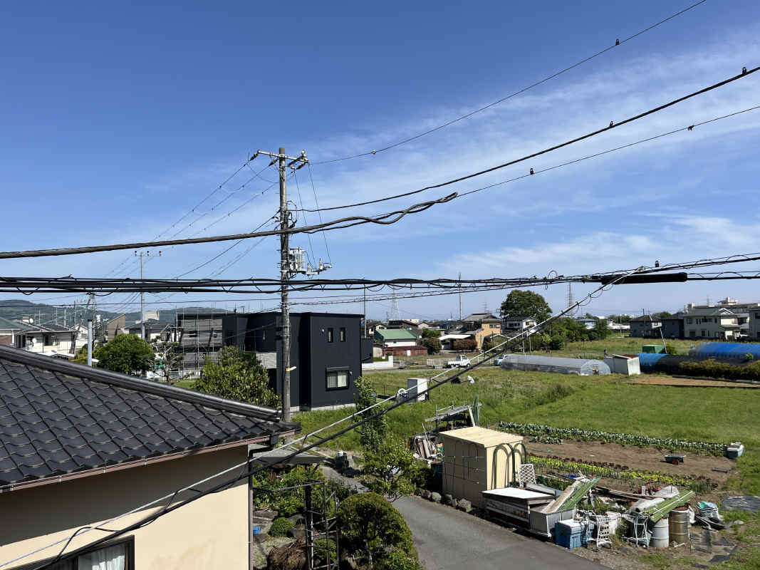 2025年5月撮影