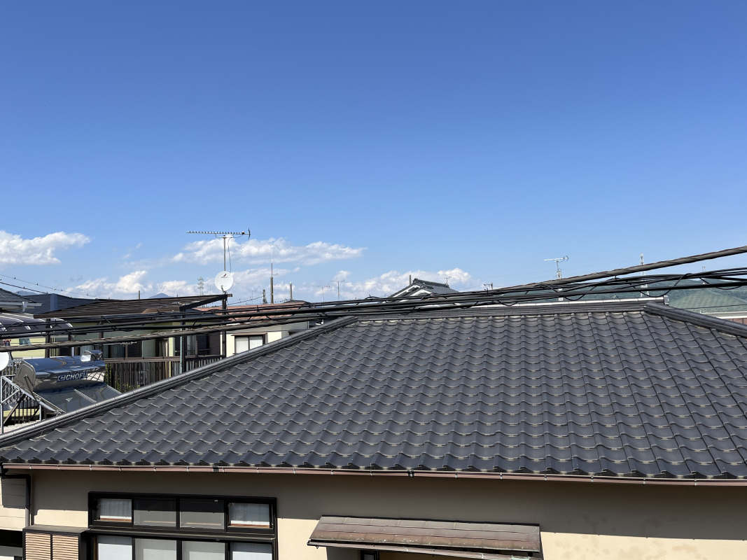 2025年5月撮影