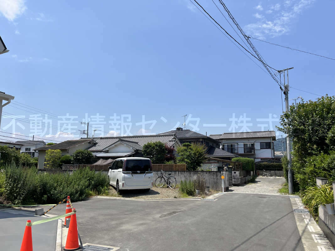 2024年6月撮影