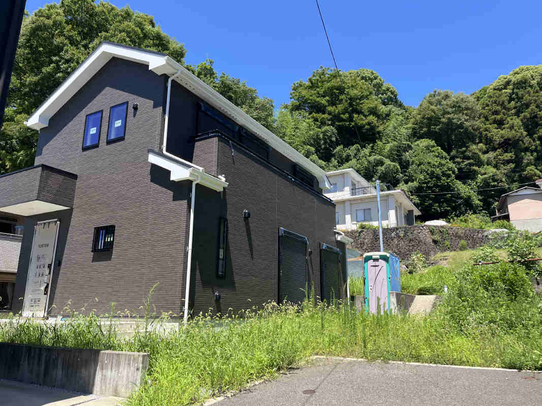 2025年7月撮影