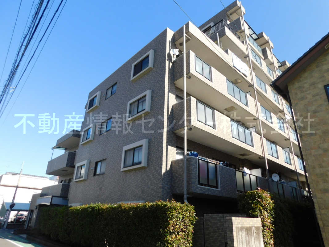 2020年1月撮影
