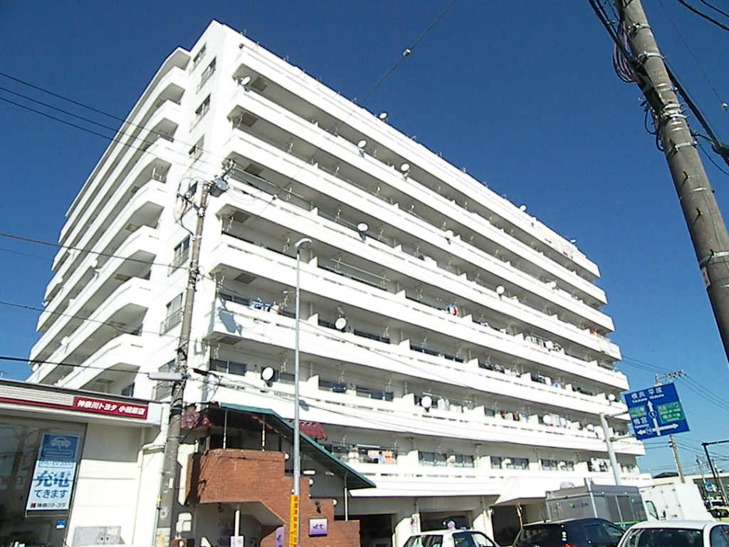 拡大してご覧になれます