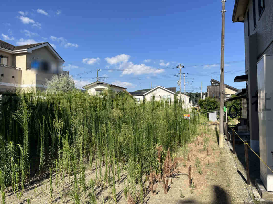 2025年8月撮影