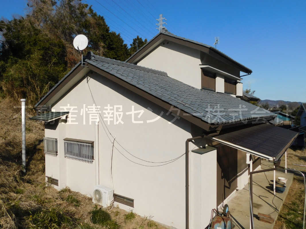 31年1月撮影