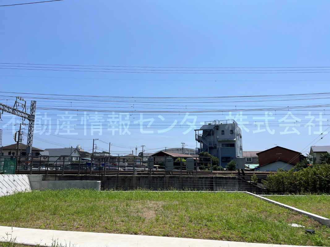 2023年7月撮影