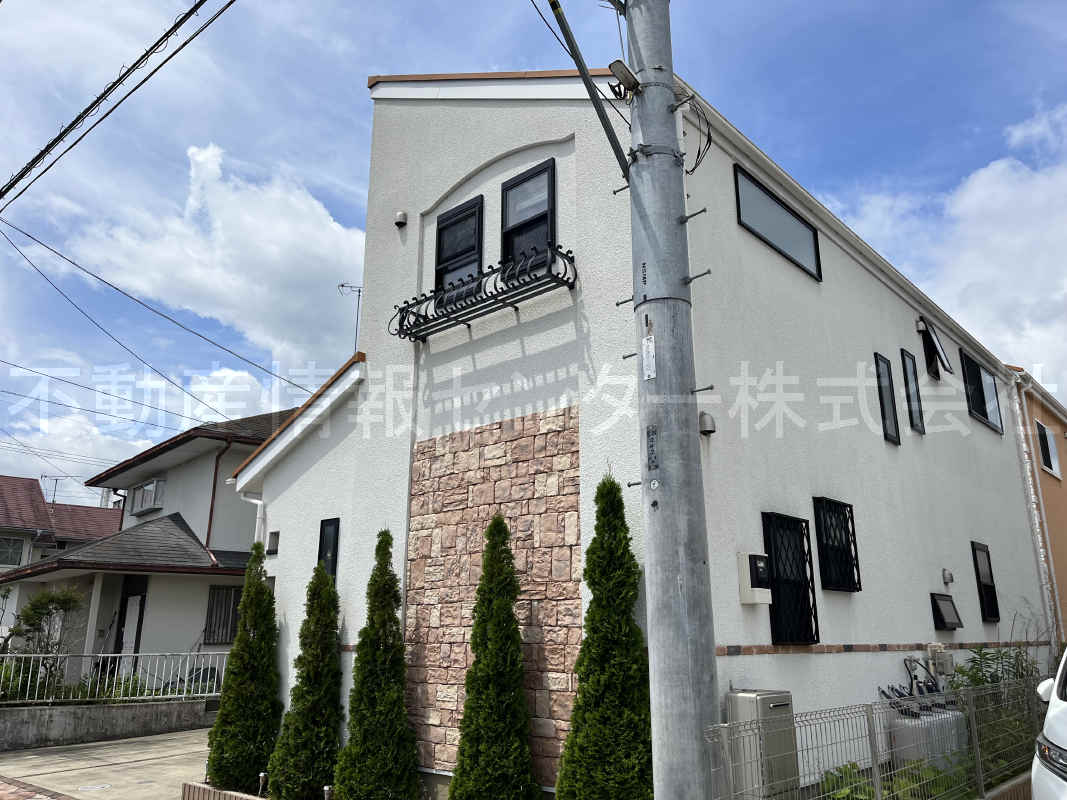 2023年6月撮影