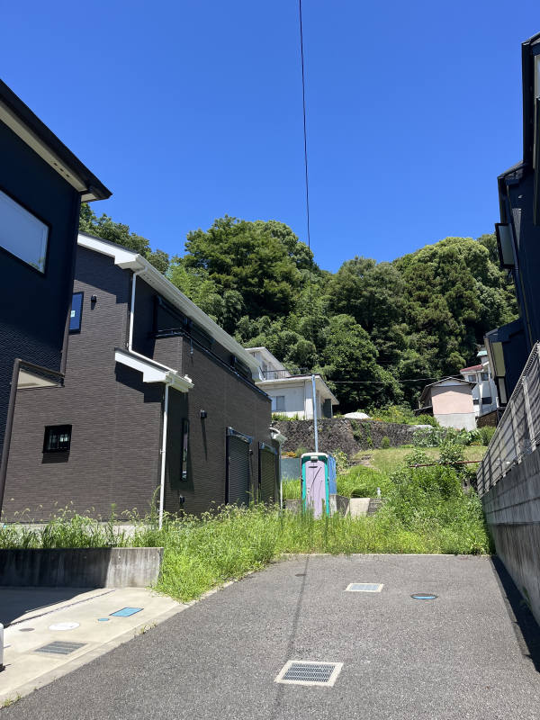 2025年7月撮影