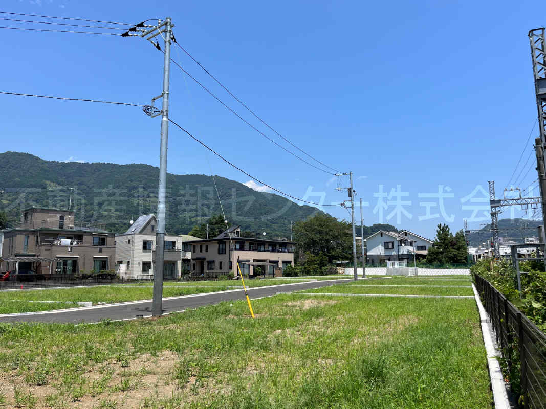 2023年7月撮影