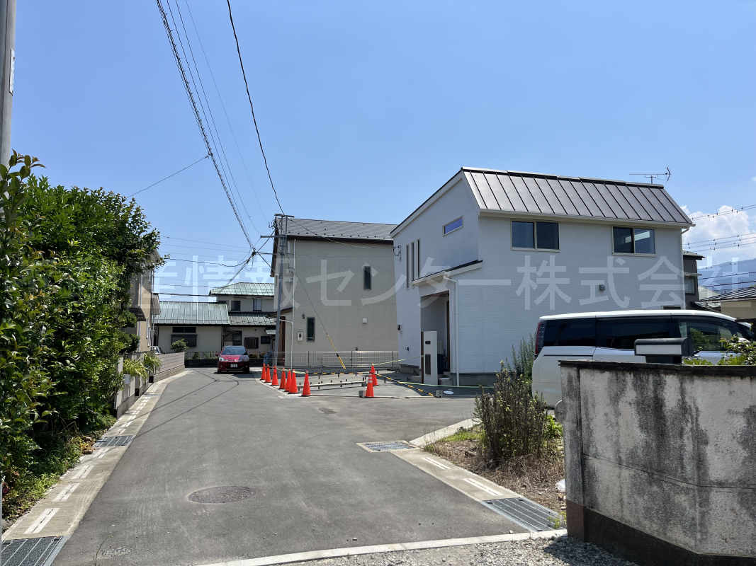 2024年6月撮影