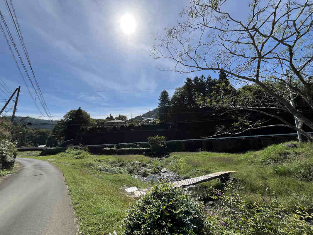 拡大してご覧になれます